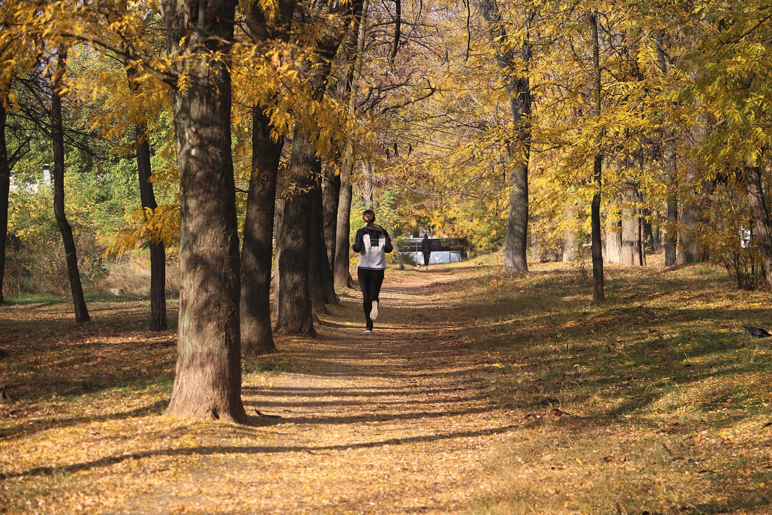 runner in woods during autumn