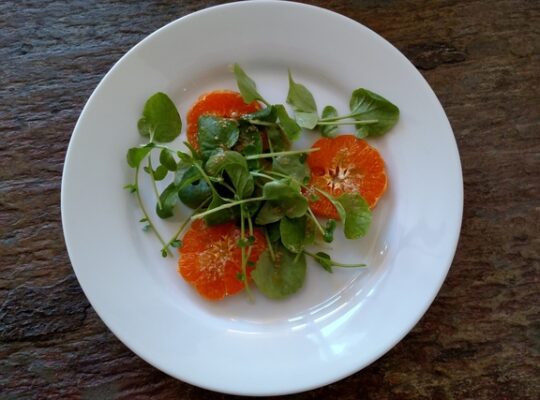 Mandarin Orange and Watercress Salad