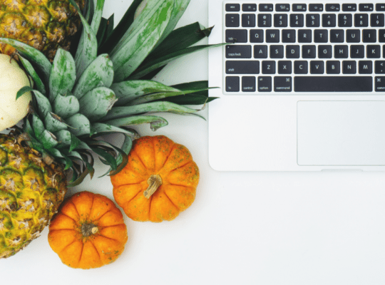 pineapples, pumpkins, laptop